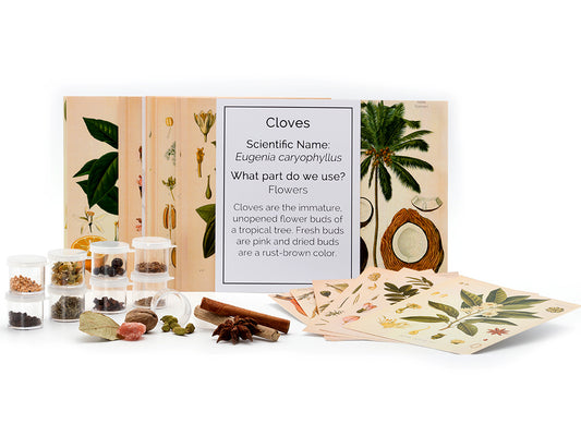 Botany Card Set